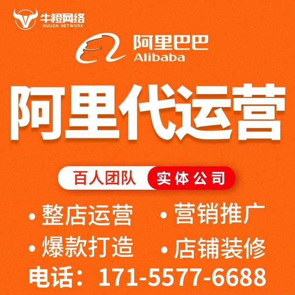 铜陵电商代运营