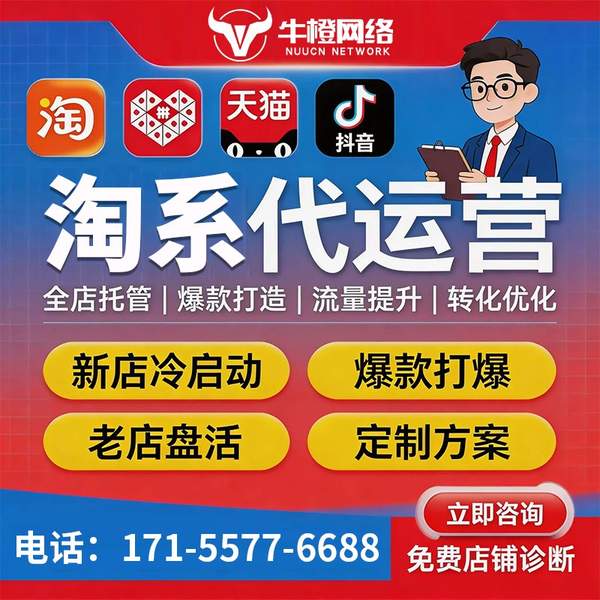 铜陵电商代运营