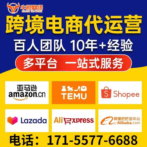 铜陵电商代运营