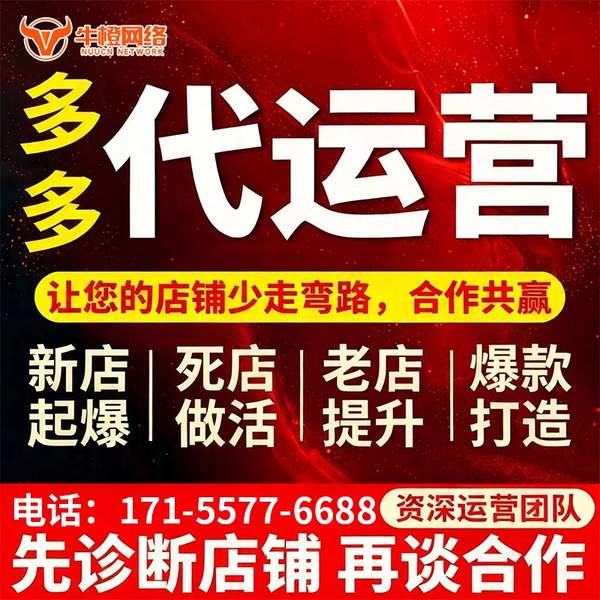 铜陵电商代运营