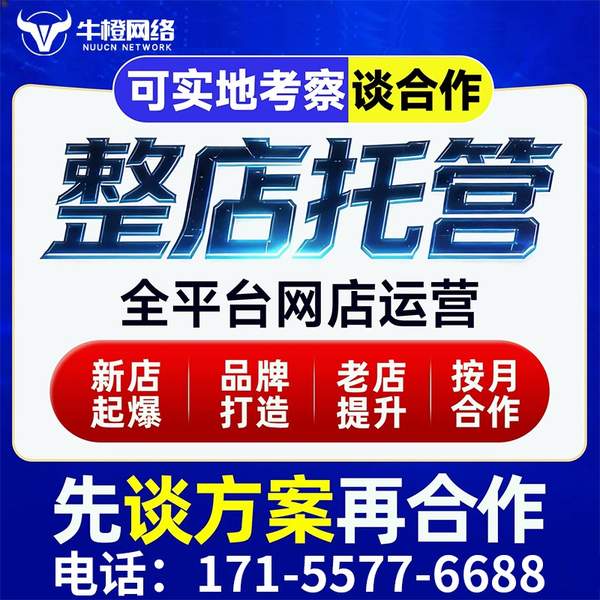 铜陵电商代运营