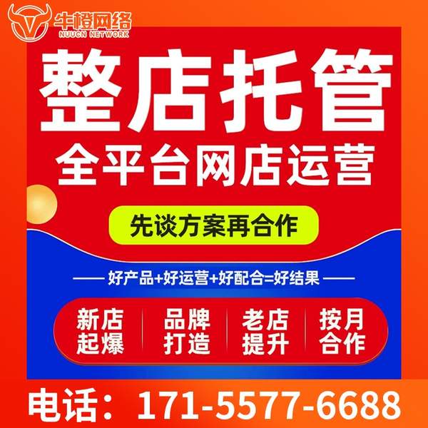 铜陵电商代运营