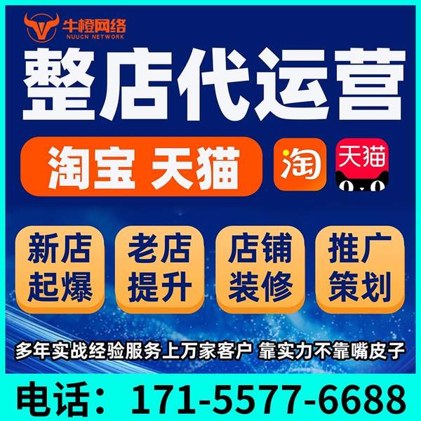 铜陵电商代运营