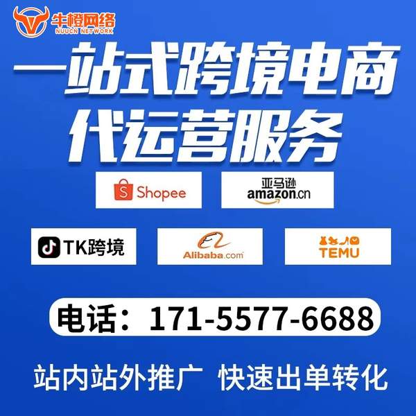 铜陵电商代运营