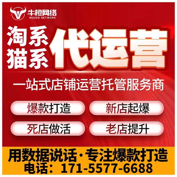 铜陵电商代运营